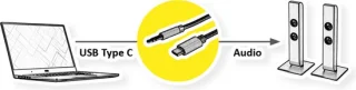 ROLINE USB-C naar 3.5mm Audio Adapter Kabel 3m Zwart