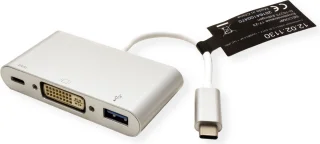 ROLINE USB-C naar DVI Adapter met USB 3.2 en PD
