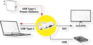 ROLINE USB-C naar DVI Adapter met USB 3.2 en PD