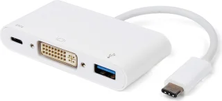 ROLINE USB-C naar DVI Adapter met USB 3.2 en PD