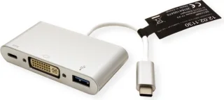 ROLINE USB-C naar DVI Adapter met USB 3.2 en PD