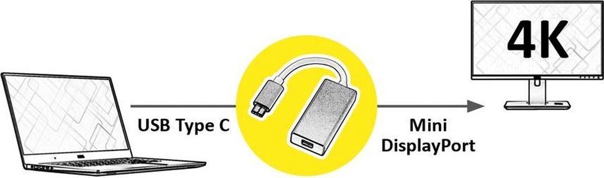 ROLINE USB-C naar Mini DisplayPort Adapter v1.2 M/F
