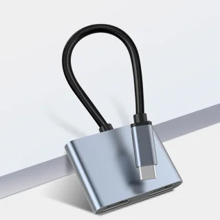 Type-C 2-in-1 Hub