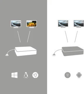 USB-C naar DisplayPort Adapter