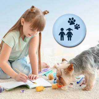 CLEANmaxx 3-in-1 Tapijt- en Meubelreiniger
