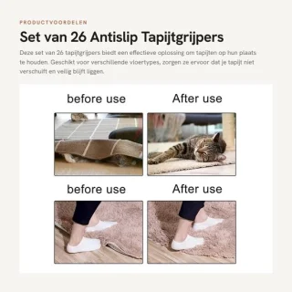 Dailygoods tapijtgrijpers 26 stuks