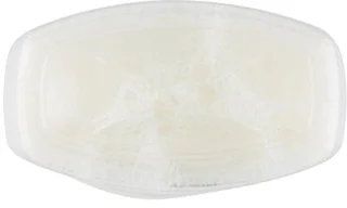 Vloerreiniger 1L Witte Moschus