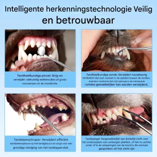 Vitdipy - Waterflosser Draadloos - Monddouche - Oplaadbaar - Waterflosser draadloos - Tandsteen & Tandplak Verwijderaar - Hondentandenborstel - Wit