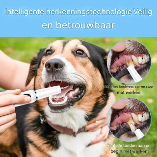 Vitdipy - Waterflosser Draadloos - Monddouche - Oplaadbaar - Waterflosser draadloos - Tandsteen & Tandplak Verwijderaar - Hondentandenborstel - Wit