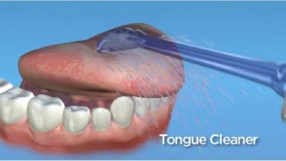 Waterpik TC-100 Tongreiniger Tips – 2 Stuks