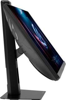 Wat vinden we goed aan de ASUS ROG Strix XG248QSG Ace monitor