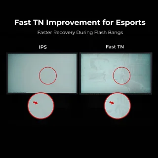 BenQ Zowie XL2540X+ Gaming Monitor 24 inch