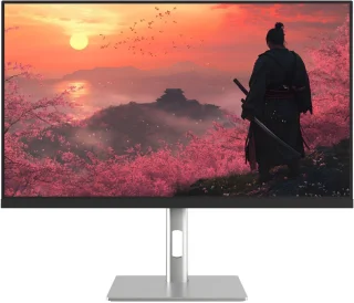 Écran PC Gaming 27" IPS WQHD 300Hz