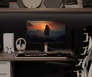 HSP Gaming Monitor 24,5" IPS FHD 320Hz