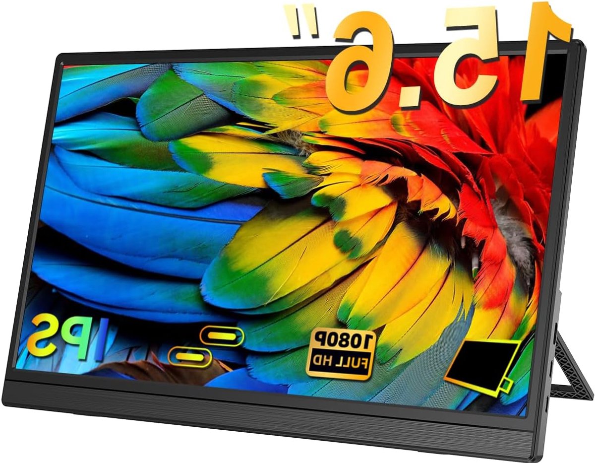 Portable Monitor (Amount inch)