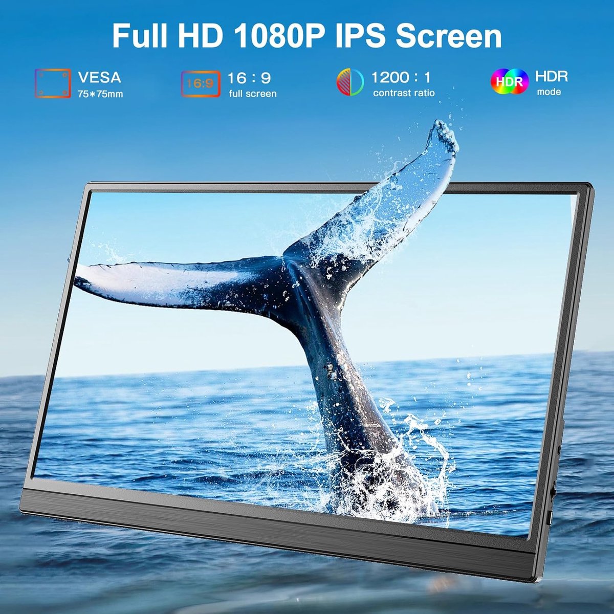 Portable Monitor (Amount inch)