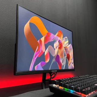 RAIDER Apex 25 PRO 25 inch Gaming Monitor