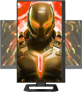 TITAN ARMY P2510S PLUS 24,5 inch Gaming Monitor