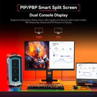 TITAN ARMY P2510S PLUS 24,5 inch Gaming Monitor