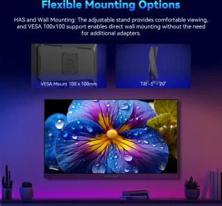 TITAN ARMY P2510S PLUS 24,5 inch Gaming Monitor