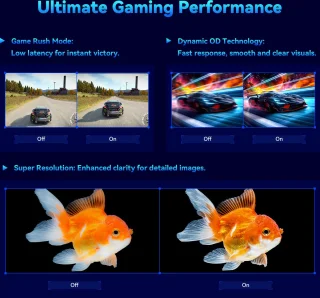 TITAN ARMY P2510S PLUS 24,5 inch Gaming Monitor