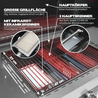 Gasgrill met 2 Branders en Sear-Zone