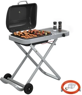 De Draagbare Gasbarbecue Grillwagen 1-brander Zwart/Zilver in één oogopslag