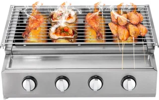 Gas BBQ RVS buitenkeuken familie model