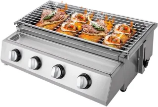 Gas BBQ RVS buitenkeuken familie model