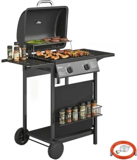 Gasbarbecue 5 kW met 2 branders
