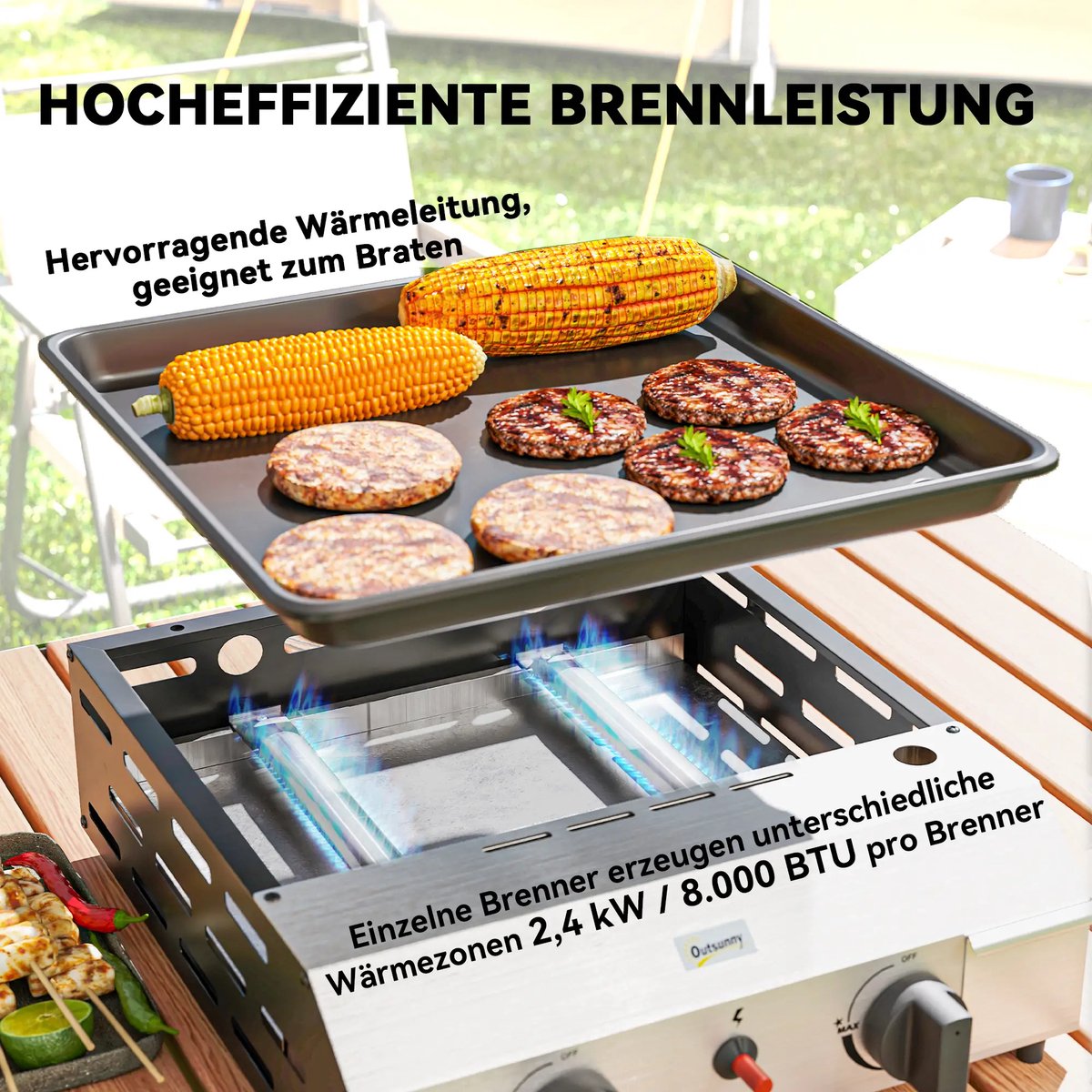 Wat vinden we goed aan de Gasbarbecue zilver/zwart 2 branders met drukregelaar