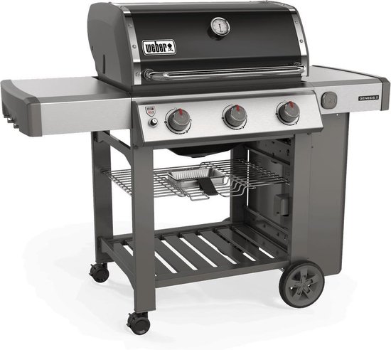 Genesis II E-310 GBS gasbarbecue review