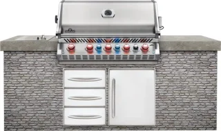Napoleon Prestige BIPRO 665 RVS inbouw