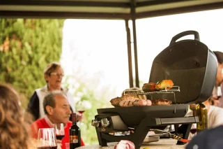 Napoleon TravelQ PRO 285 gasbarbecue