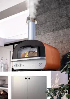 Palazetti Mario Hybride Gas-Houtoven Professioneel
