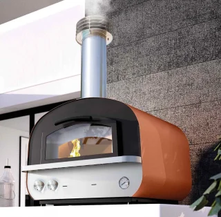 Palazetti Mario Hybride Gas-Houtoven Professioneel