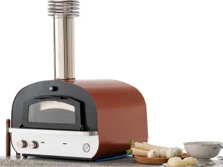 Palazetti Mario Hybride Gas-Houtoven Professioneel