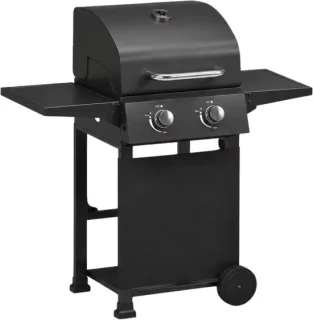 Propaangas BBQ grill 2 branders zwart