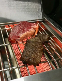 Rösle Video G3-S Vario Gasbarbecue Zwart