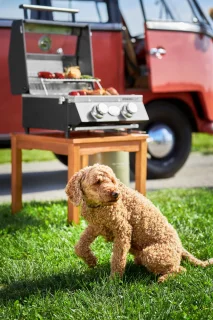 Rösle Videro G2-P Gasbarbecue 50mbar