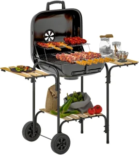 De Stalen Houtskool Grillwagen in één oogopslag