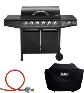 TAINO BASIC gasbarbecue review