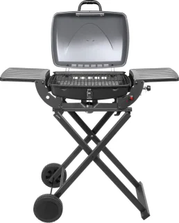 Teesa TSA0150 Draagbare Gasbarbecue 1000 met Onderstel