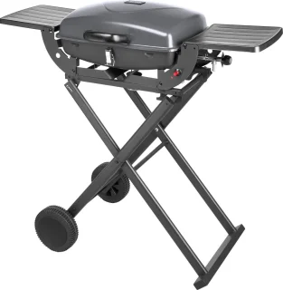 Teesa TSA0150 Draagbare Gasbarbecue 1000 met Onderstel