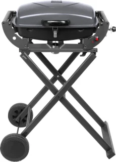 Teesa TSA0150 Draagbare Gasbarbecue 1000 met Onderstel
