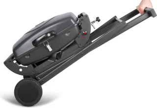 Teesa TSA0150 Draagbare Gasbarbecue 1000 met Onderstel
