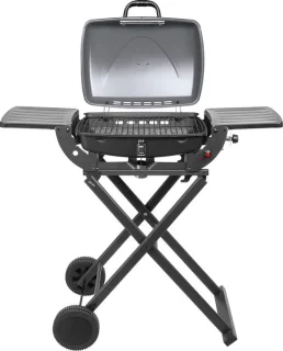 Teesa TSA0150 Draagbare Gasbarbecue 1000 met Onderstel
