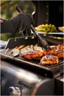 Weber Spirit E-225 GBS gasbarbecue