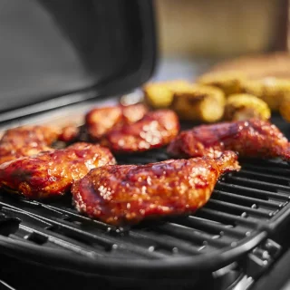 Weber Traveler BBQ Grill Compact