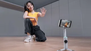 Insta360 Flow Pro Gray Standard Bundle